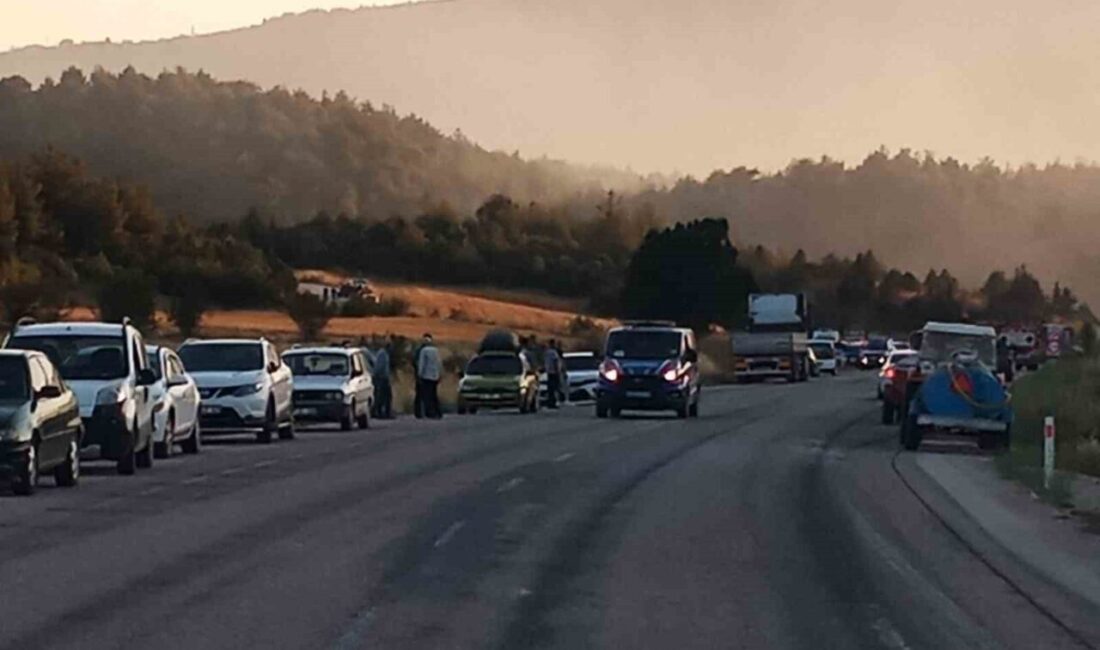 Bilecik’te Hüyük köyü yakınlarında başlayan anız yangını, rüzgarın etkisiyle hızla
