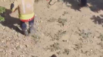 Hatay’ın Hassa ilçesinde, bir evin bahçesine giren yılanın yakalanmaya çalışılması