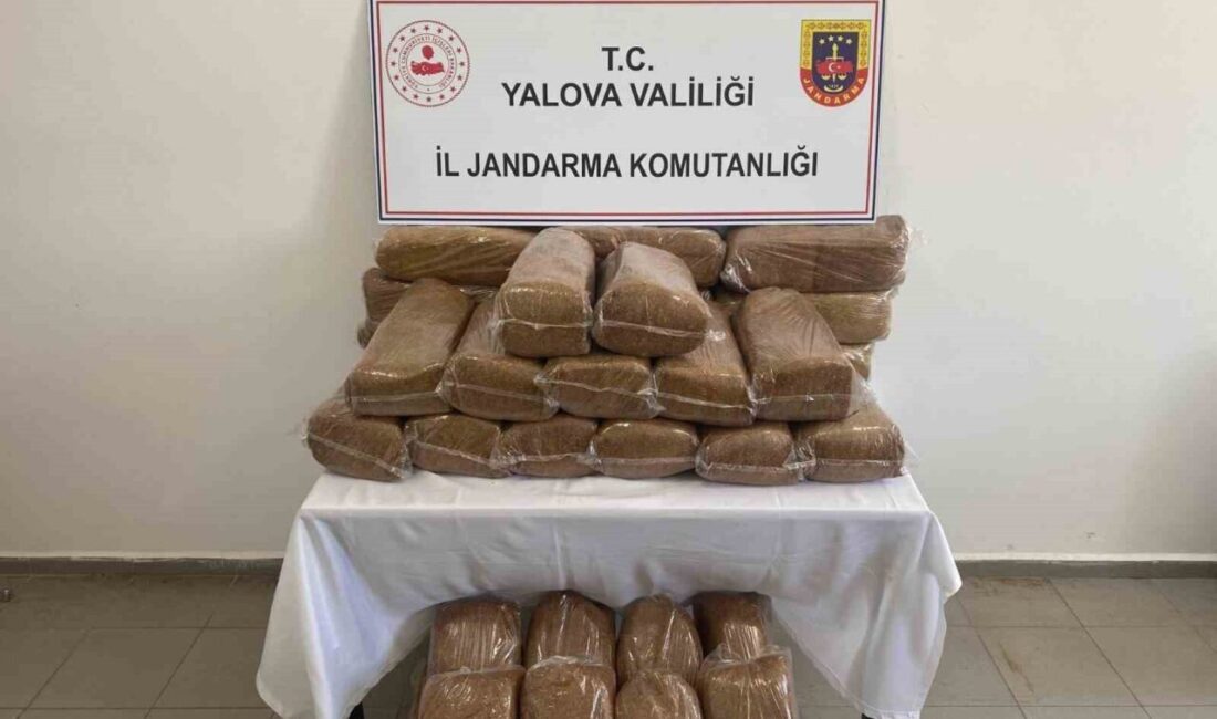 Yalova’da, jandarma ekipleri tarafından bir işletmeye düzenlenen operasyonda 160 kilogram