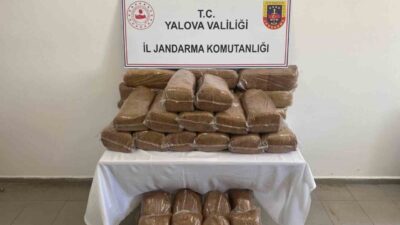 Yalova’da, jandarma ekipleri tarafından bir işletmeye düzenlenen operasyonda 160 kilogram