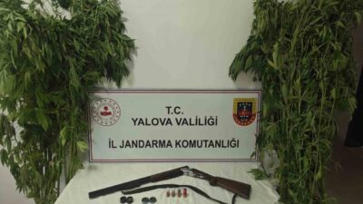 Yalova’nın Çiftlikköy ilçesinde jandarma ekipleri tarafından düzenlenen bir operasyonda bir