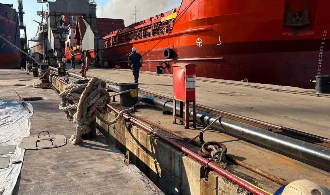 Yabancı bayraklı Martenitsa isimli kargo gemisi, Yalova’nın Altınova ilçesindeki Tersaneler