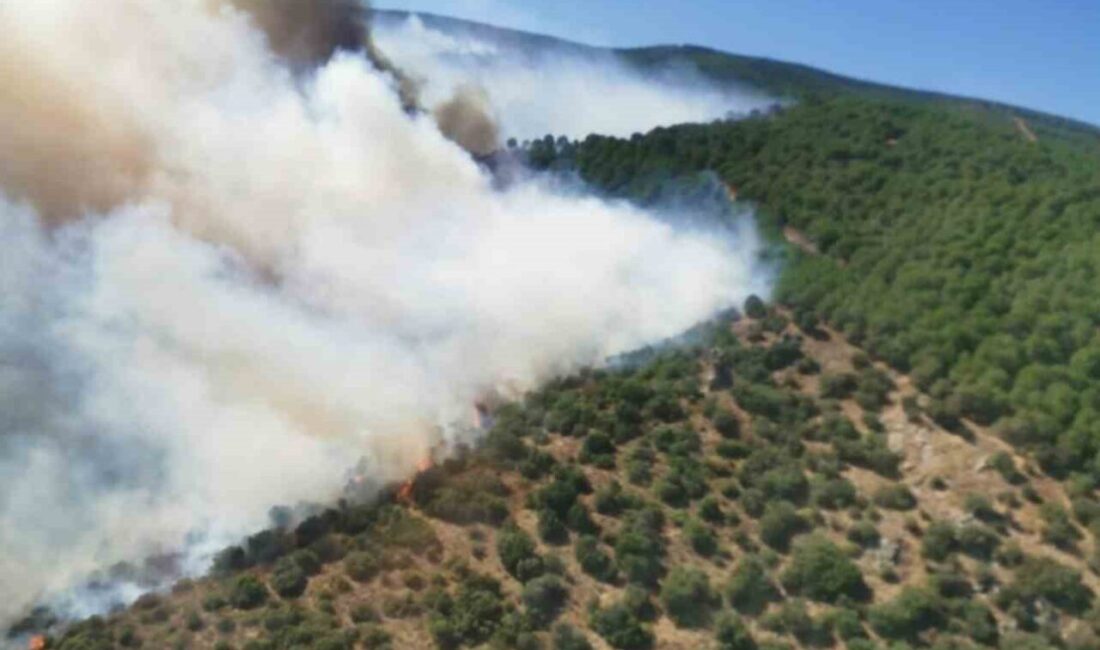 Yalova’nın Armutlu ilçesinde başlayan orman yangını, ekiplerin hızlı müdahalesi sayesinde