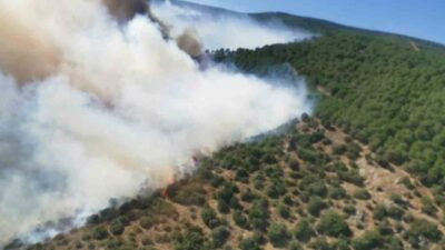 Yalova’nın Armutlu ilçesinde başlayan orman yangını, ekiplerin hızlı müdahalesi sayesinde