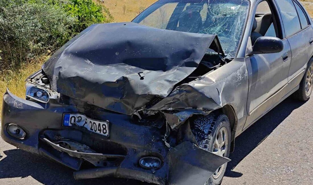 Yalvaç İlçesi’nde meydana gelen trafik kazasında iki araç çarpıştı ve