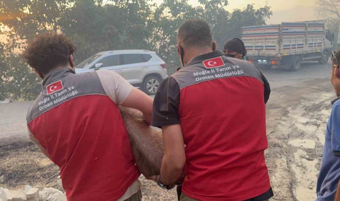 Muğla’nın Seydikemer ilçesindeki orman yangınına ekiplerin müdahalesi devam ediyor. İl