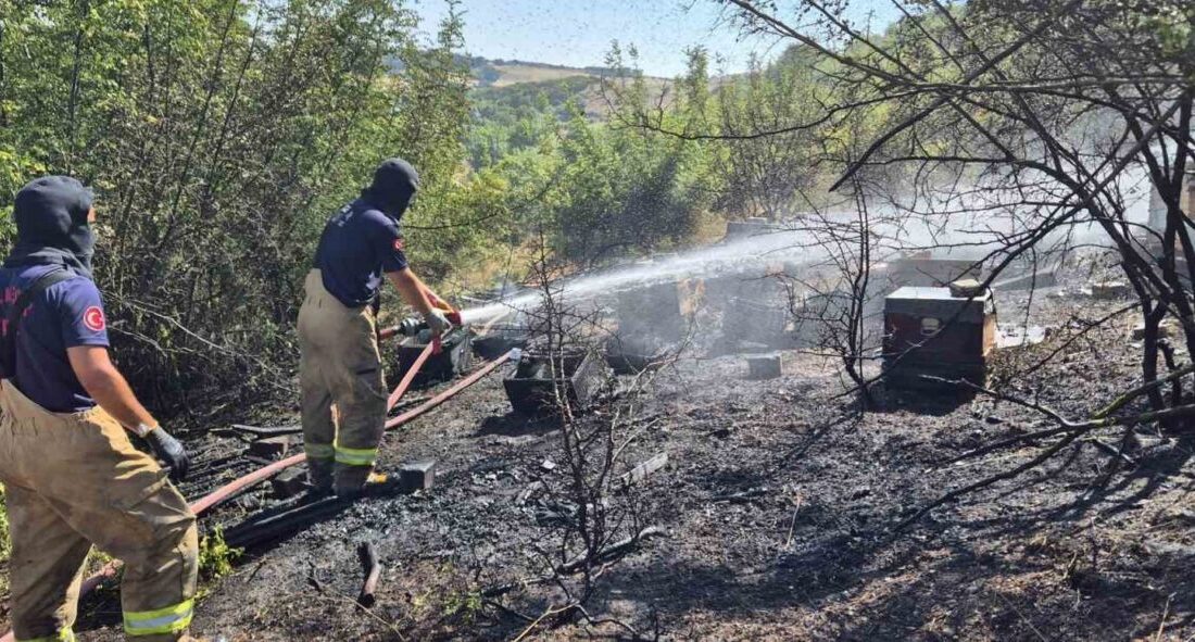 Balıkesir’in Susurluk ilçesinde, eski bir askeriye alanında meydana gelen çalılık