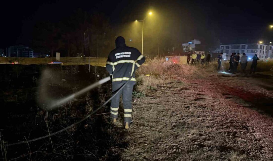 Adıyaman’da Altınşehir Mahallesi’nde çıkan yangında alevlerin arasında kalan bir kaplumbağa,