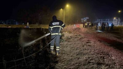Adıyaman’da Altınşehir Mahallesi’nde çıkan yangında alevlerin arasında kalan bir kaplumbağa,