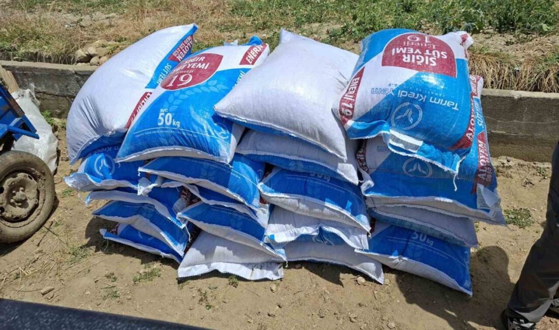 Manisa’nın Gördes ilçesinde yaşanan yangında saman balyaları ve hayvan yemleri