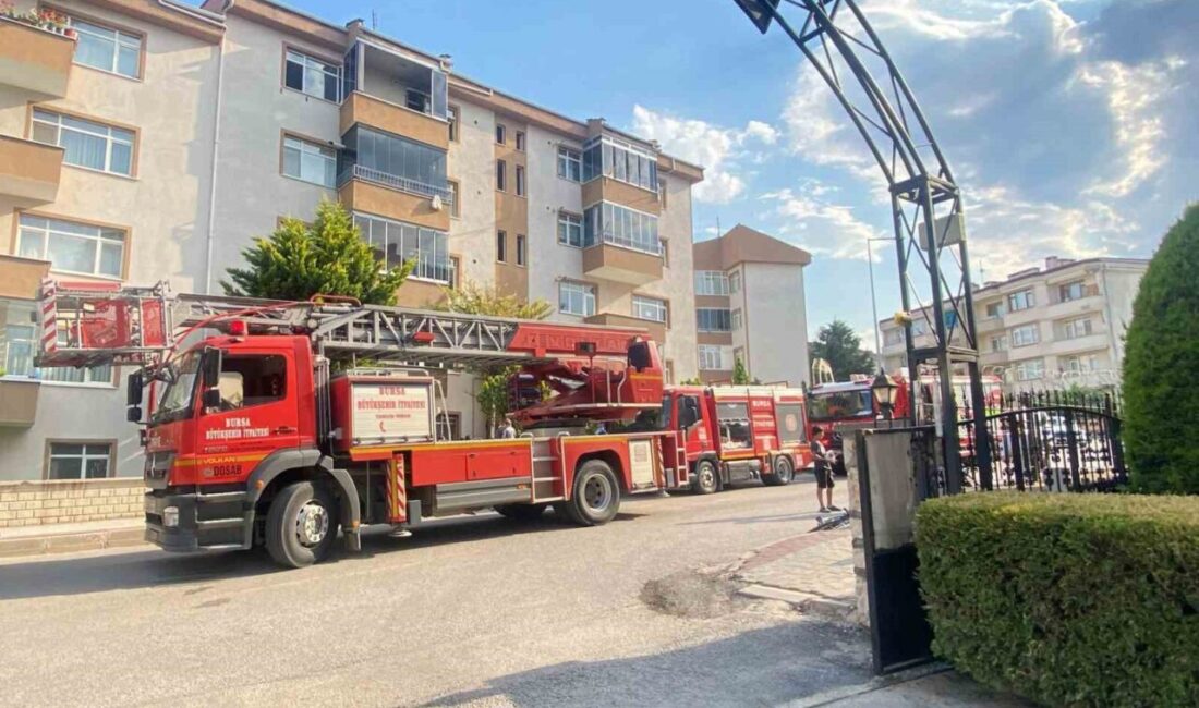 Bursa’nın İnegöl ilçesinde, Yunus Emre Mahallesi Karanfil Caddesi üzerinde bulunan