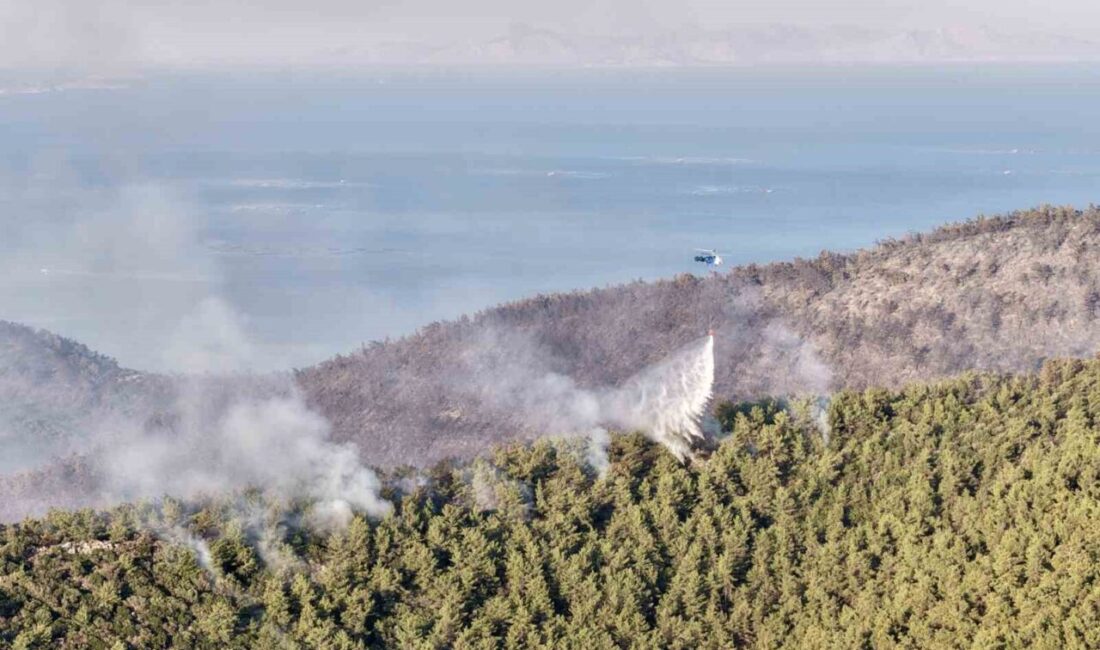 Muğla’nın Milas ilçesinde dün akşam saatlerinde başlayan orman yangını, gün