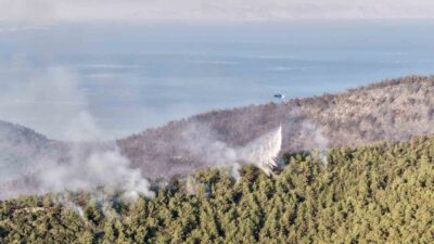 Muğla’nın Milas ilçesinde dün akşam saatlerinde başlayan orman yangını, gün