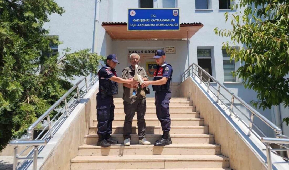 Yaralı leyleğin Kadışehri ilçesinde bulunduğu ve tedavi altına alındığı bildirildi.