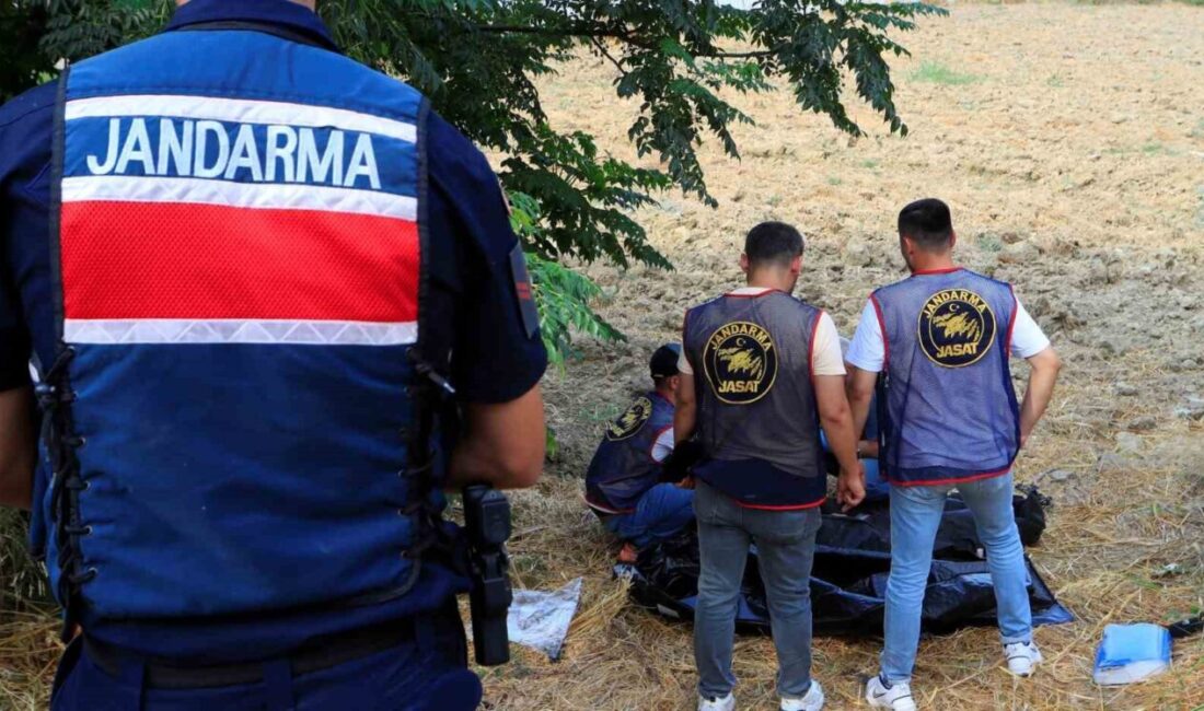 Aksu ilçesine bağlı Antalya’da, 72 yaşındaki bir kadın, evine 4