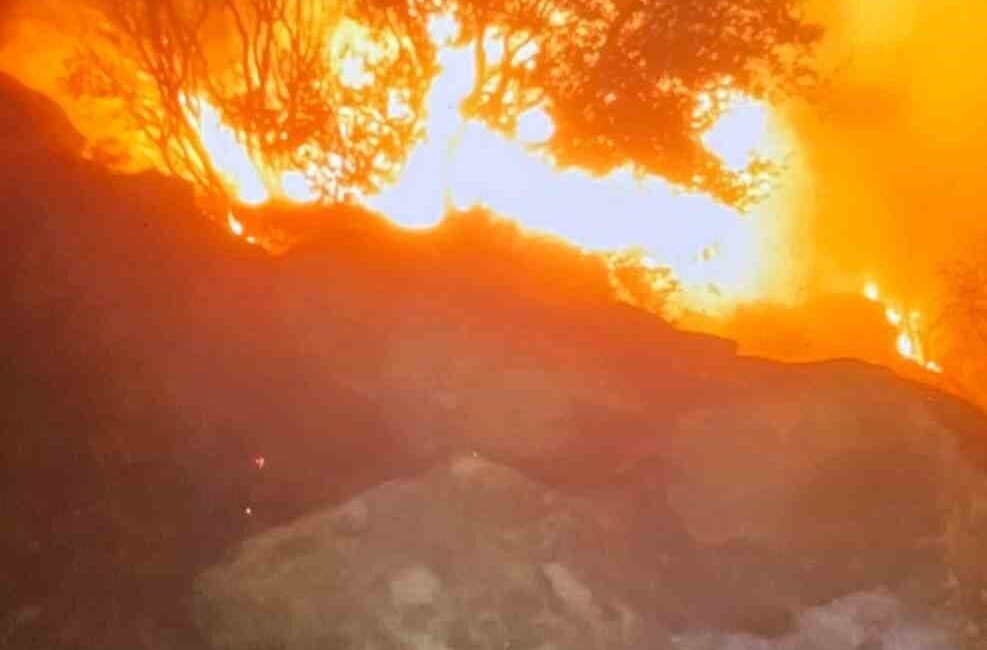 Muğla’nın Yatağan ilçesinde bugün meydana gelen orman yangınının nedeni henüz