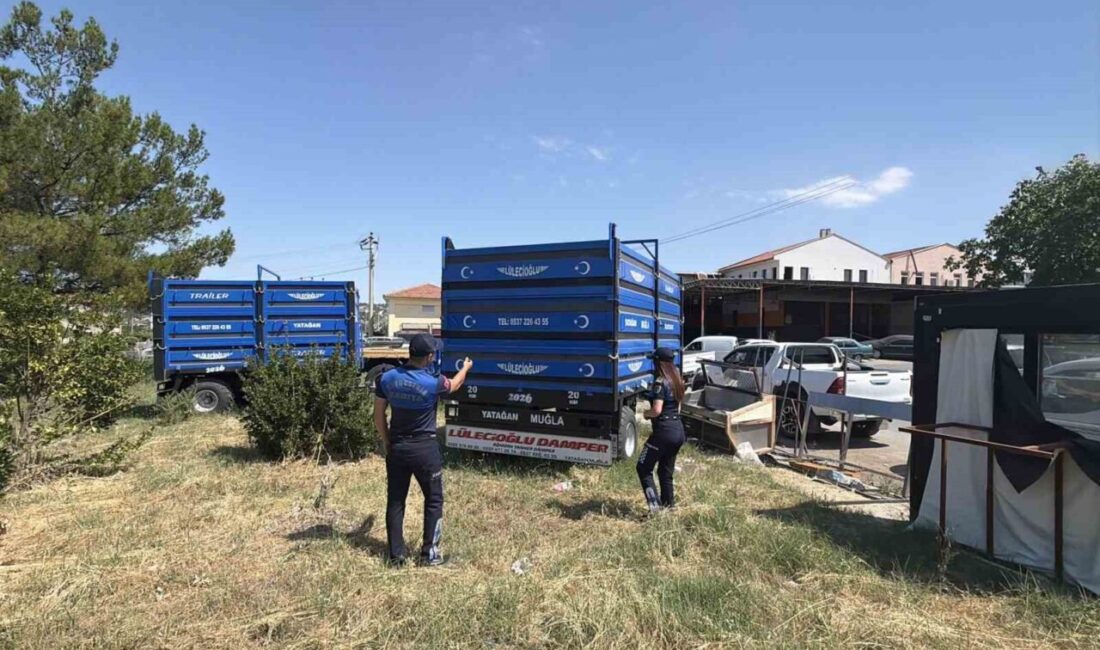 Muğla’nın Yatağan ilçesinde, sanayi sitesi ve TOKİ yol güzergahında atıl
