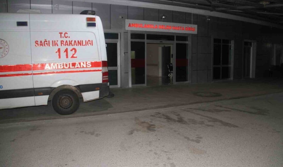 Konya’nın Beyşehir ilçesinde bir anne ve oğlunun yedikleri gıdadan zehirlenmiş