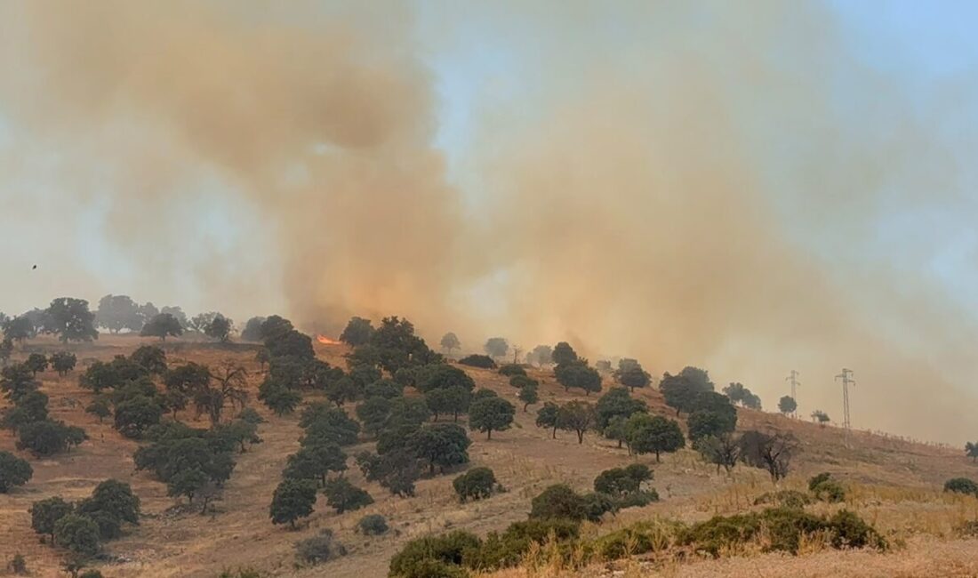Manisa’nın Kula ilçesindeki makilik alanda bugün tekrar alevlenen yangın, ekiplerin