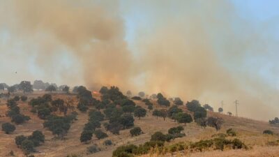 Manisa’nın Kula ilçesindeki makilik alanda bugün tekrar alevlenen yangın, ekiplerin
