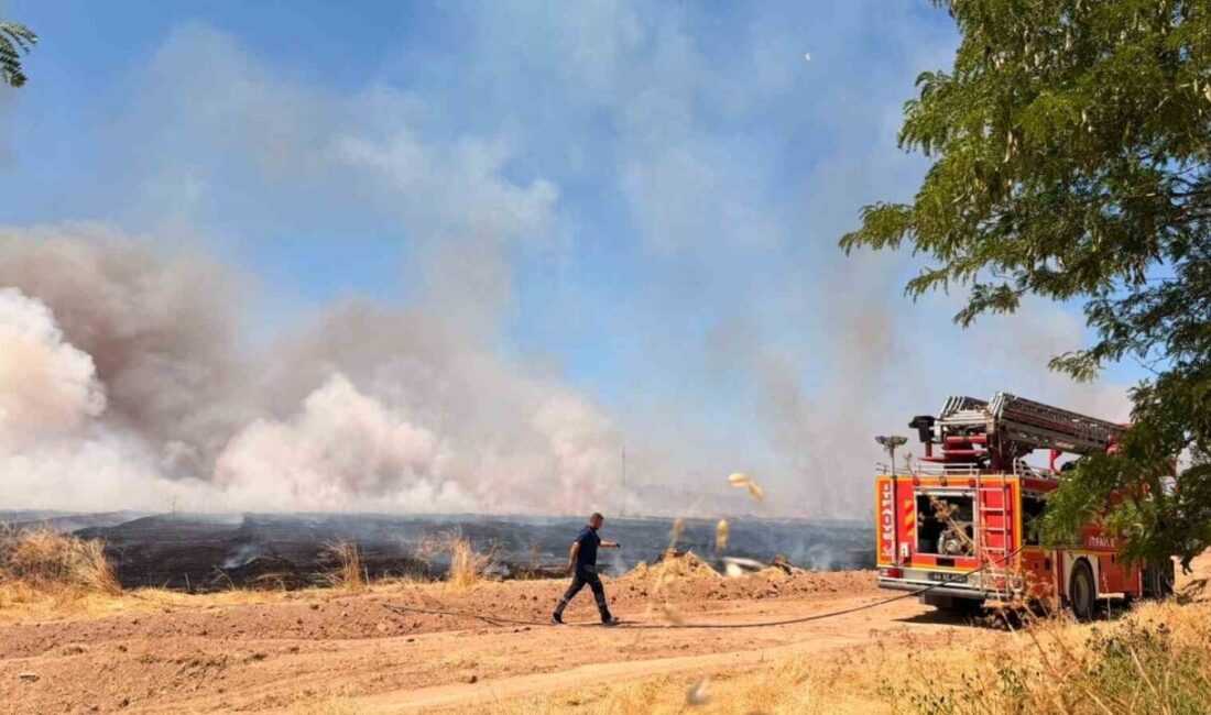 Yerköy ilçesinde, yaklaşık 100 dönüm arazide hububat depolama alanı oluşturmak