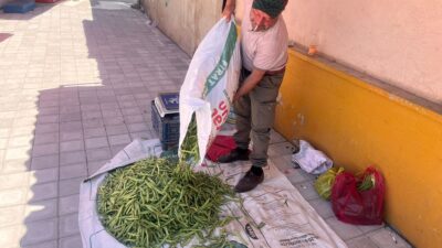 Yaz mevsiminin gelmesiyle birlikte Yerköy köylü pazarında yerli ürün hareketliliği