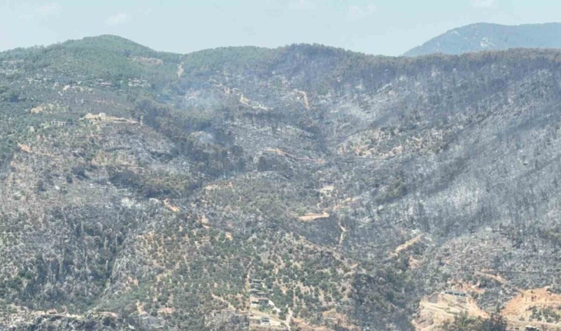 Muğla’nın Fethiye ilçesine bağlı İnlice Mahallesi’nde meydana gelen orman yangını,
