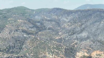 Muğla’nın Fethiye ilçesine bağlı İnlice Mahallesi’nde meydana gelen orman yangını,