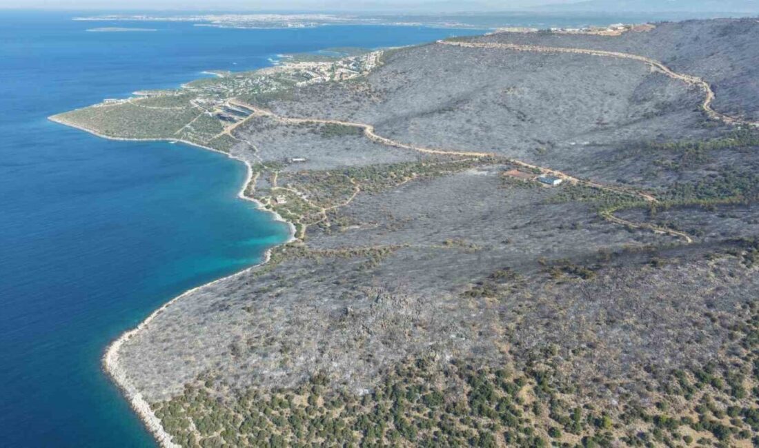 Muğla’nın Milas ilçesinde dün akşam saatlerinde başlayan orman yangını büyük