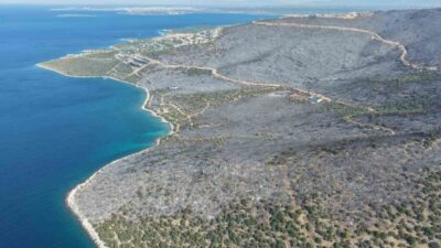 Muğla’nın Milas ilçesinde dün akşam saatlerinde başlayan orman yangını büyük