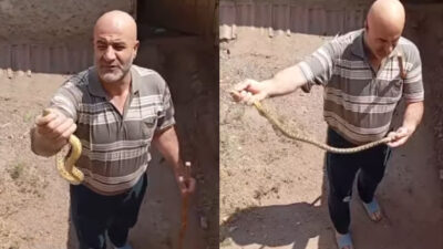 Kayıkılı köyünde, evinin bahçesine giren yılanı zarar vermeden yakalayan Hacı