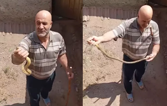 Kayıkılı köyünde, evinin bahçesine giren yılanı zarar vermeden yakalayan Hacı