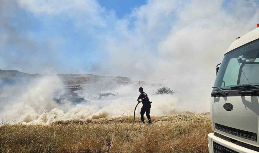 Bozüyük ilçesinde bir olay meydana geldi; yol kenarındaki otluk alanda