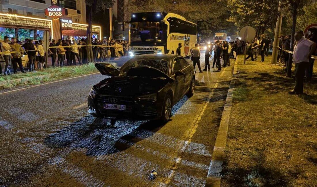 Şanlıurfa’nın Siverek ilçesinde meydana gelen acı olayda bir yaşlı kadın