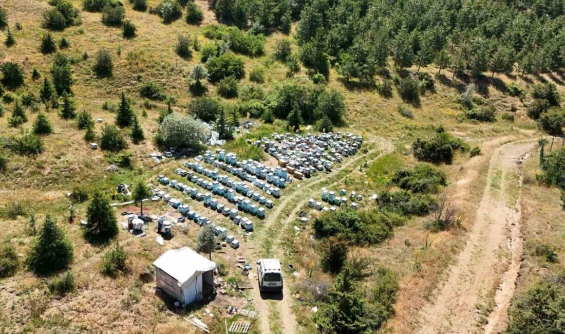 Yozgat, Türkiye’deki önemli bal üretim bölgelerinden biri olma hedefine ilerliyor