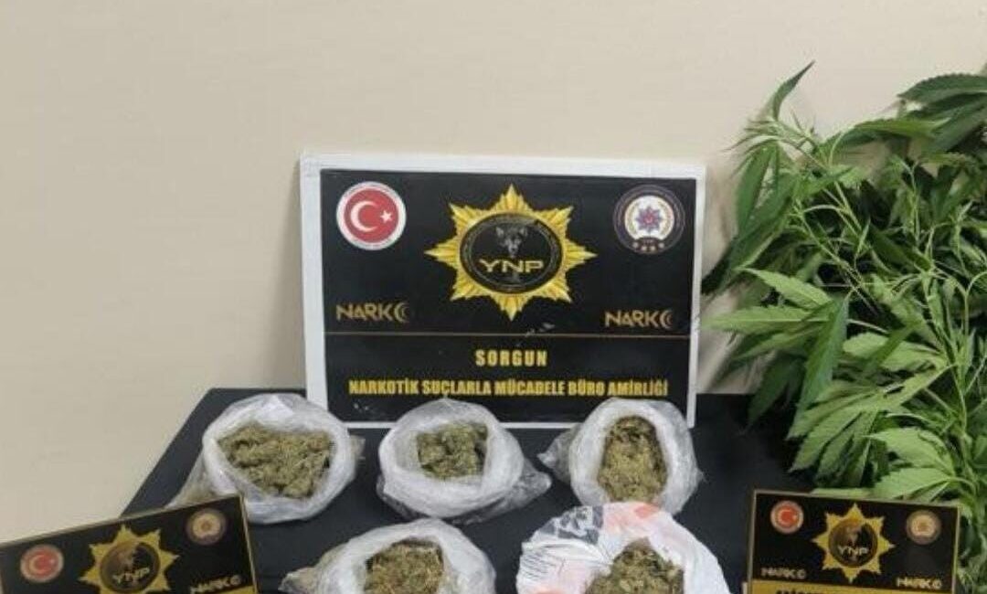 Yozgat’ın Sorgun ilçesinde gerçekleştirilen bir operasyonda esrar ve Hint keneviri