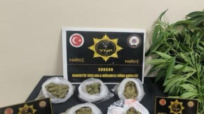 Yozgat’ın Sorgun ilçesinde gerçekleştirilen bir operasyonda esrar ve Hint keneviri