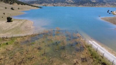 Çekerek Barajı’ndaki su seviyesinin artması, Yozgat’ın Çekerek ilçesindeki tarım arazilerine