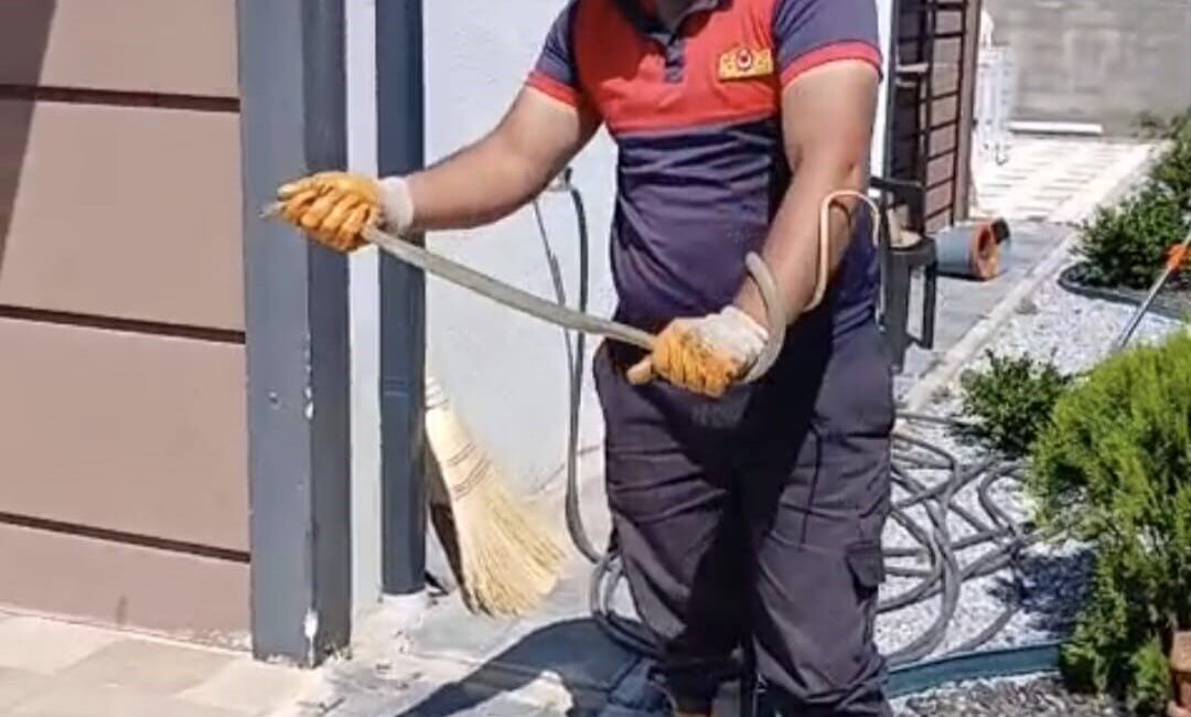 Yozgat’ta Çapanoğlu Mahallesi Güneykent Villaları’nda bir evin bahçesinde tespit edilen