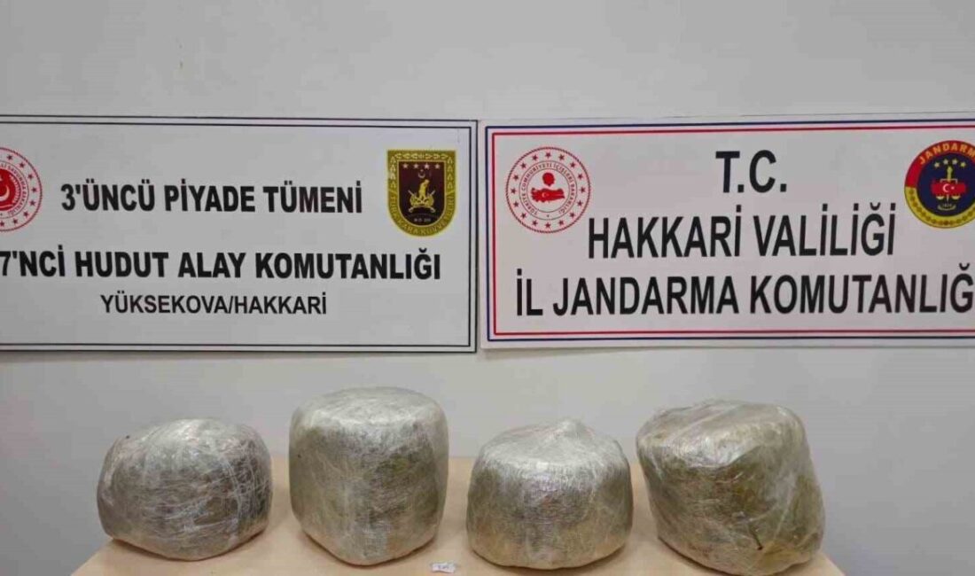 Hakkari’nin Yüksekova ilçesinde jandarma tarafından gerçekleştirilen operasyonda 11 kilo 350