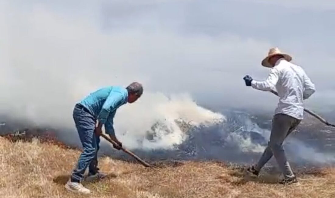 Hakkari’nin Yüksekova ilçesindeki tarım arazisinde meydana gelen yangında, yaklaşık bin