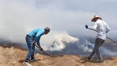 Hakkari’nin Yüksekova ilçesindeki tarım arazisinde meydana gelen yangında, yaklaşık bin