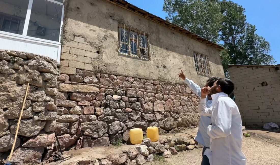 Hakkari’nin Yüksekova ilçe merkezine 30 kilometre mesafedeki Aşağıolukbaşı köyünde yaşanan