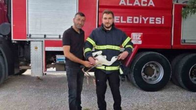 Alaca ilçesine bağlı Eskiyapar köyünde, naylon ve bez parçalarıyla ayağı