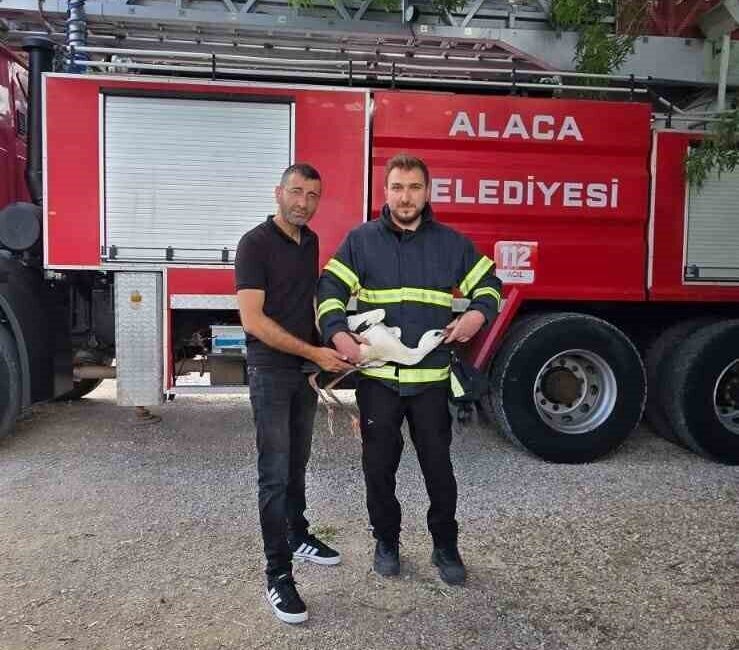 Alaca ilçesine bağlı Eskiyapar köyünde, naylon ve bez parçalarıyla ayağı