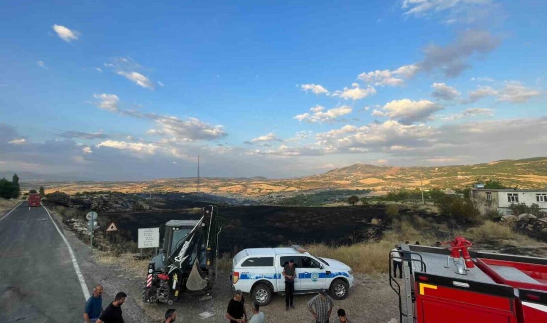 Lice ilçesindeki tarım ve ormanlık alandaki yangın, itfaiye, Orman İşletme