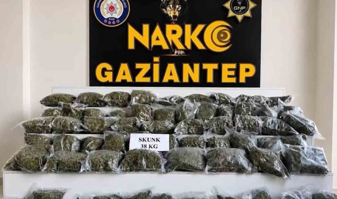 İçişleri Bakanlığı, son 10 gün içinde 71 ilde gerçekleştirilen operasyonlarda