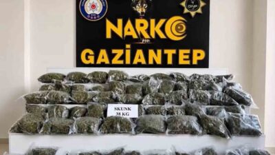 İçişleri Bakanlığı, son 10 gün içinde 71 ilde gerçekleştirilen operasyonlarda
