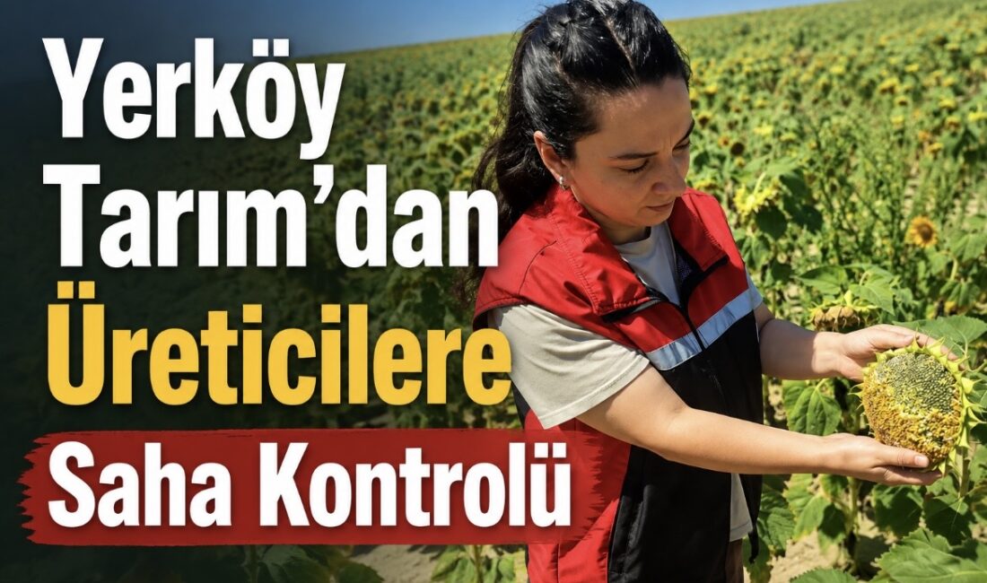 Yerköy İlçe Tarım ve Orman Müdürlüğü ekipleri, ilçe genelinde ekimi