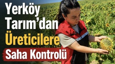 Yerköy İlçe Tarım ve Orman Müdürlüğü ekipleri, ilçe genelinde ekimi